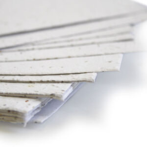 Plantable Seed Paper White