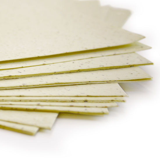 Plantable Seed Paper Yellow